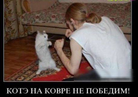КОГ НА КОВРЕ ПГ ПОБЕДИМ