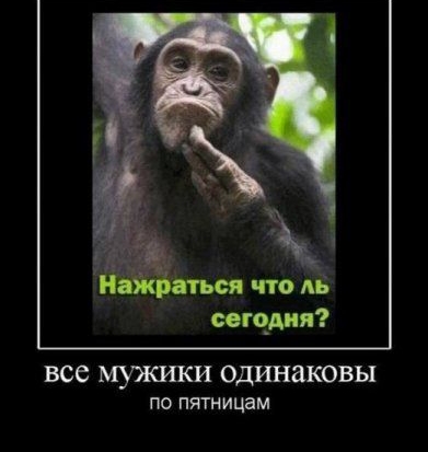 все МУЯСИКИ одинаковы по пятницам