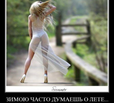 Зимою ч.