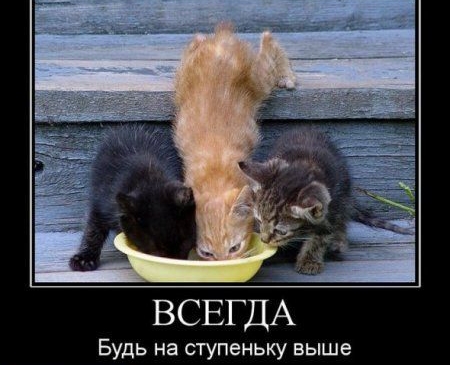 ВСЕГДА Будь на ступеньку выше