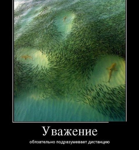 Уважение обязтпьно падрнумепег дип ищю