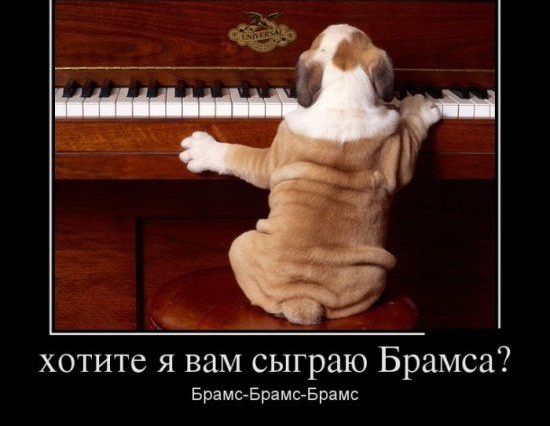 хотите я вам сыграю Брамса БрамсБрамсБрамс