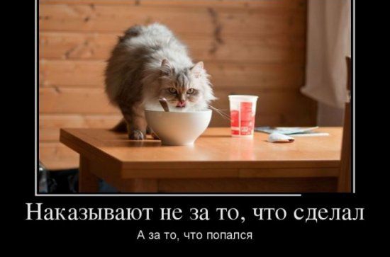 Наказывают не 321 ТО ЧТО сделал А за то что попался