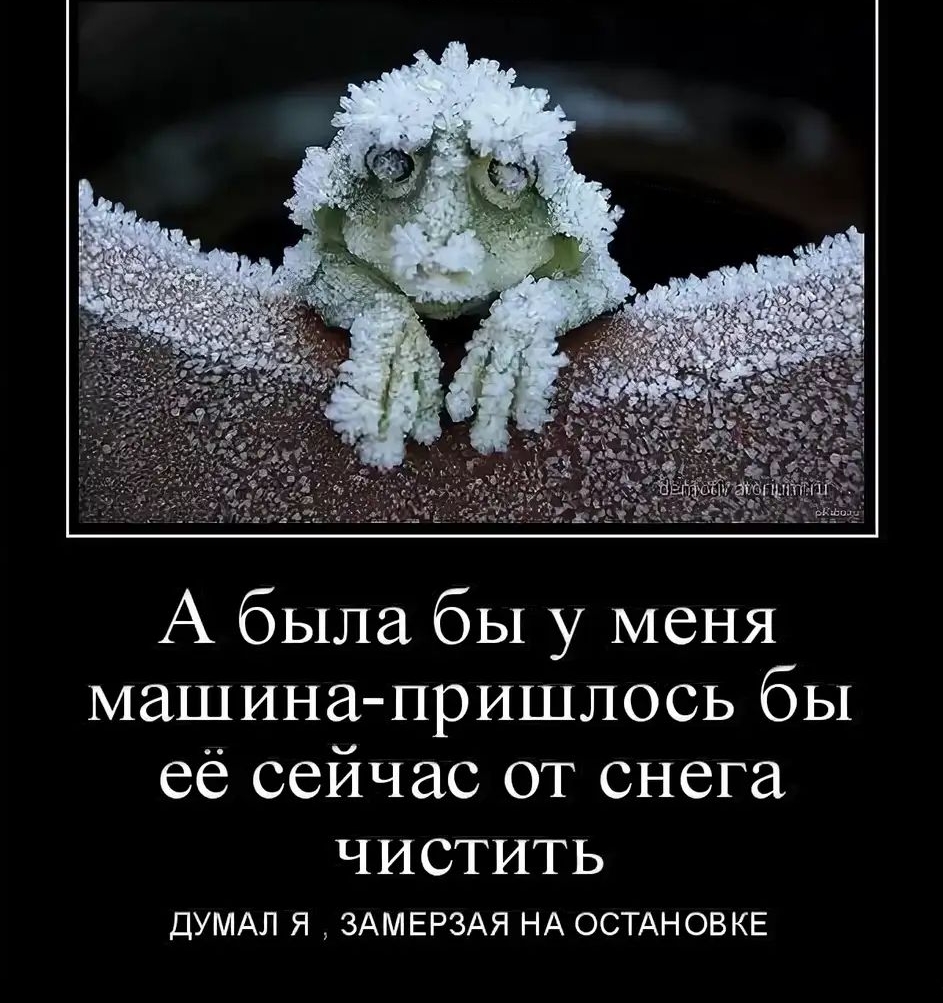 А была бы у меня машина пришлось бы её сейчас от снега ЧИСТИТЬ ДУМАЛ я ЗАМЕРЗАЯ НА ОСТАНОВКЕ