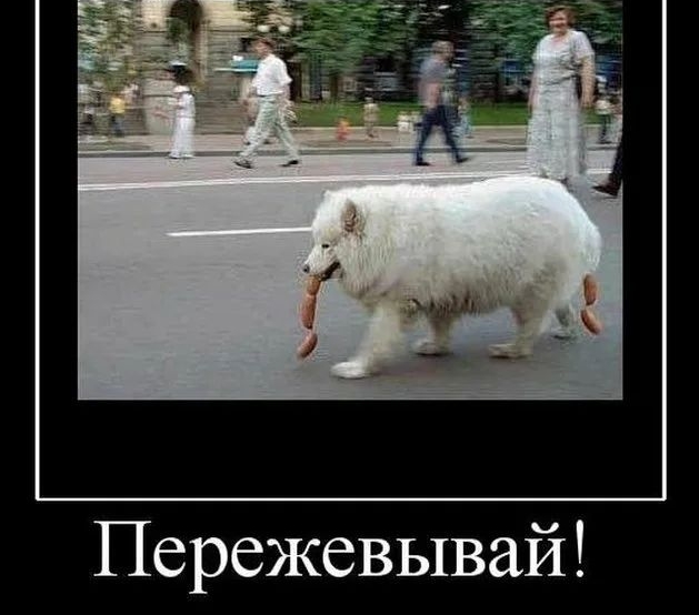 Пережевывай