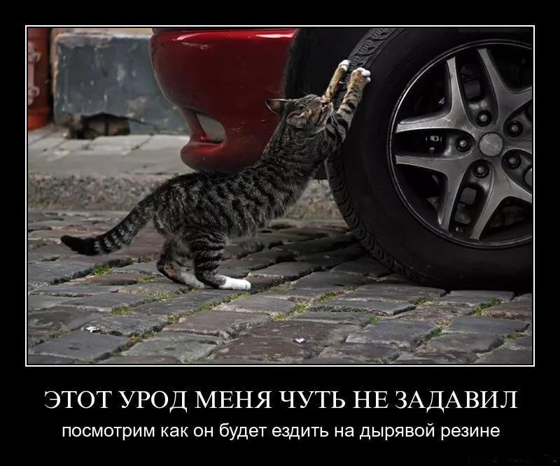 ЭТОТ УРОД МЕНЯ ЧУТЬ НЕ ЗАДАВИЛ ПОСМОТрИМ как ОН будет ездить на дырЯВОЙ резине