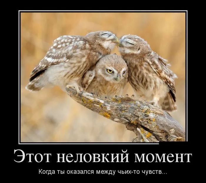Этот неловкий момент Когда ТЫ ОКЭЗЭПСЯ МЕЖДУ ЧЬИХ ТО ЧУВСТВ
