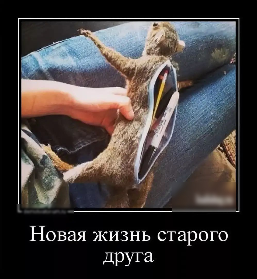 Новая ЖИЗНЬ старого Друга