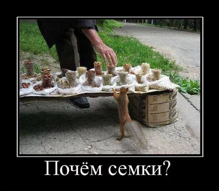 Почём семки