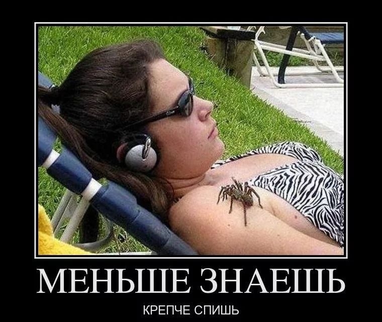МЕНЬШЕ ЗНЕШЬ КРЕПЧЕ СПИШЬ
