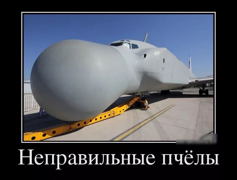 Неправильные пчёлы