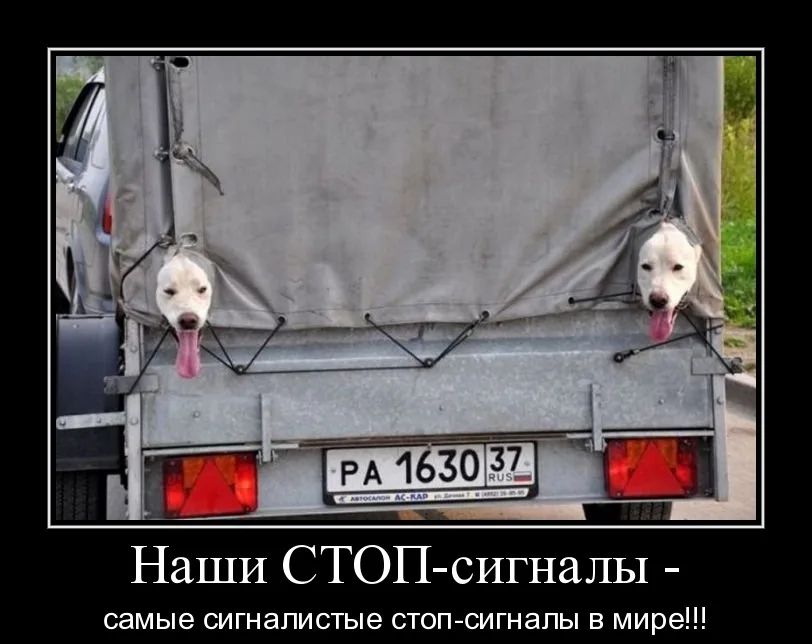 Наши СТОП сигналы самые сигнапистые стоп сигналы в мире