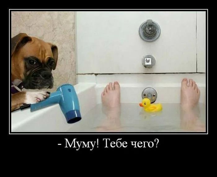 Муму Тебе чего