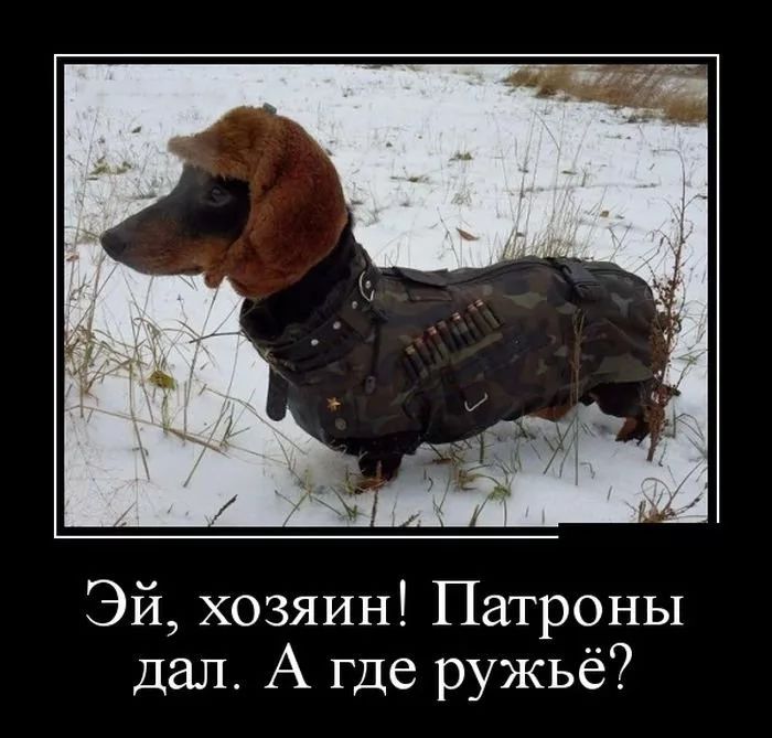 Эй хозяин Патроны дал А где ружьё
