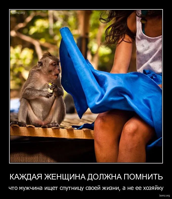 КАЖДАЯ ЖЕНЩИНА ДОЛЖНА ПОМНИТЬ что мужчина ищет спутницу своей жизни а не ее хозяйку щ