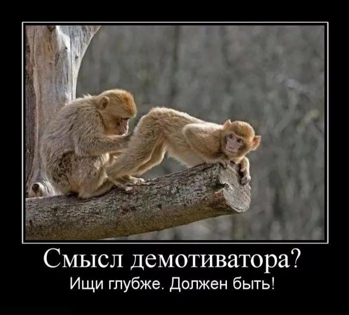 Смысл демотиватора Ищи глубже Должен быть