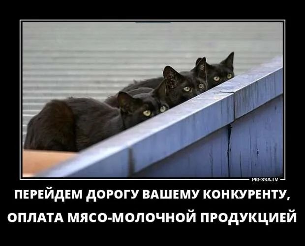 пишу ПЕРЕЙДЕМ дОРОГУ ВАШЕМУ КОНКУРЕНТУ ОПЛАТА МЯСО МОЛОЧНОЙ ПРОДУКЦИЕЙ