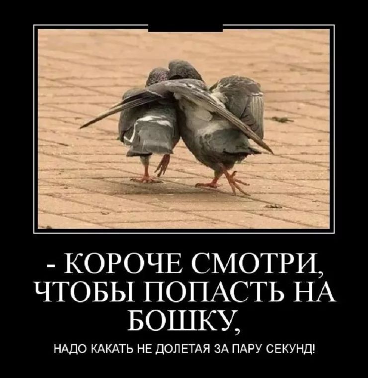 КОРОЧЕ СМОТРИ ЧТОБЫ ПОПАСТЬ НА БОШКУ НАДО КАКАТЬ НЕ ДОЛ ЕТАЯ ЗА ПАРУ СЕКУНД