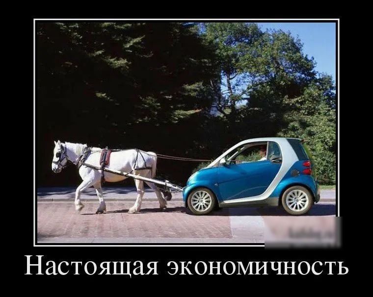 Настоящая экономичность