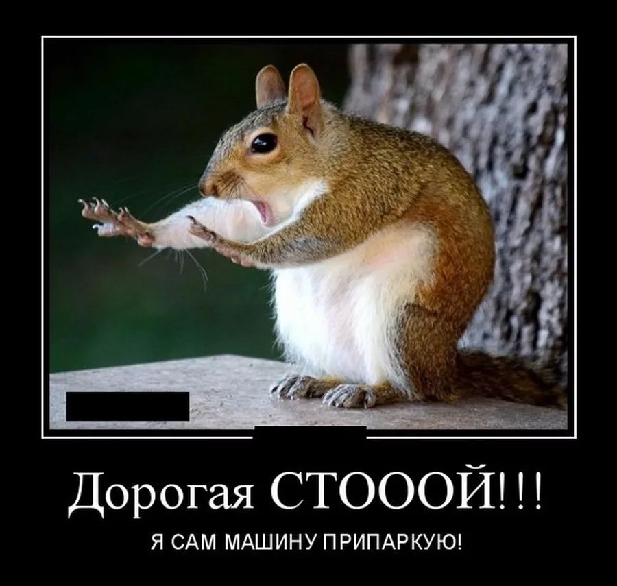 Дорогая СТОООЙ Я САМ МАШИНУПРИПАРКУЮ