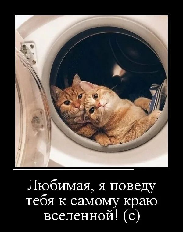 Любимая я поведу тебя к самому краю вселенной с