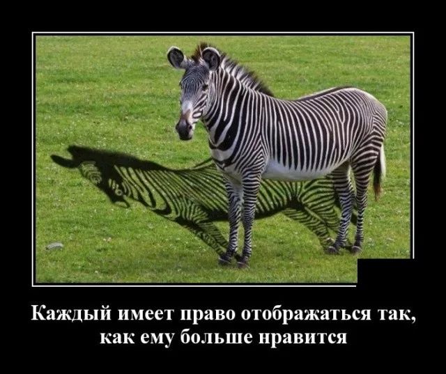 Каждый имеет право отображаться так как ему больше нравится