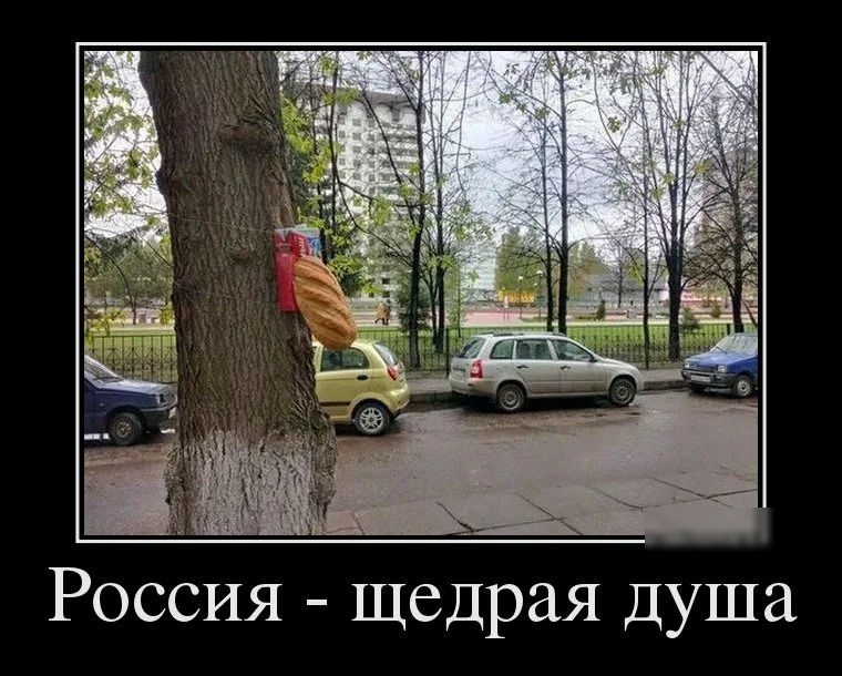 щедрая душа Россия