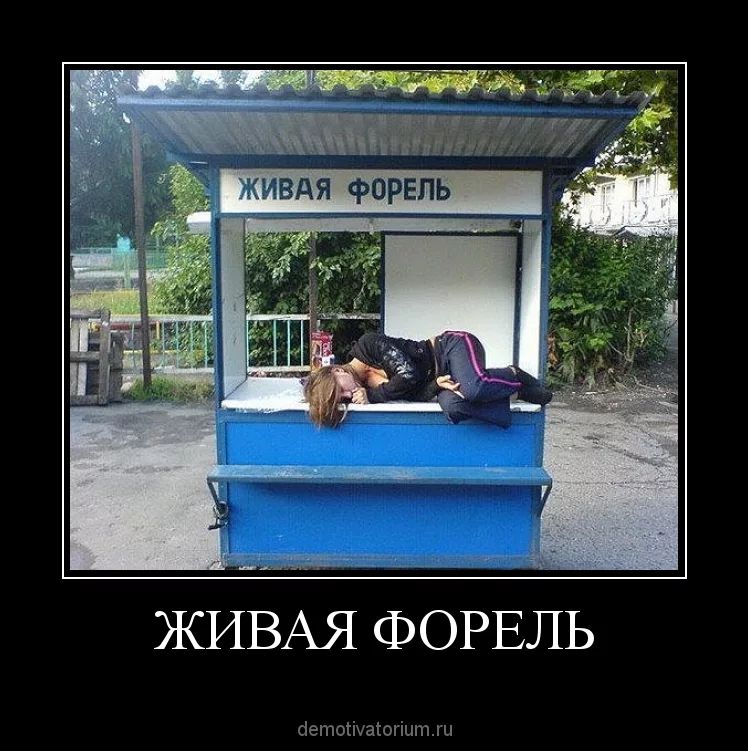 ЖИВАЯ ФОРЕЛЬ сіепюіуасогіцтш