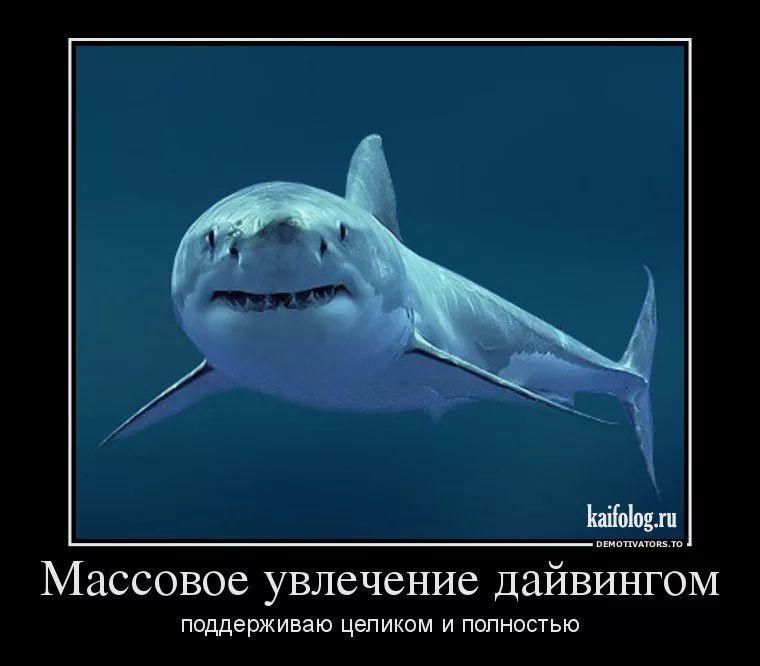 Массовое увлечение дайвингом Поддерживаю целиком И ПОЛНОСТЬЮ