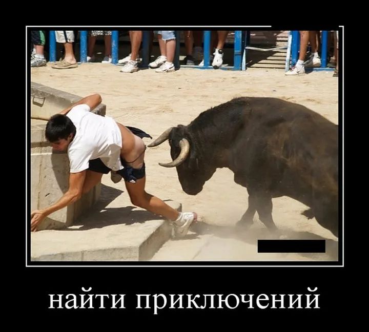 найти приключений