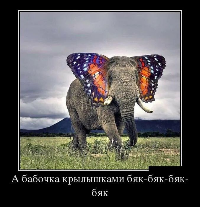 А бабочка крылышками бякбякбяк бяк