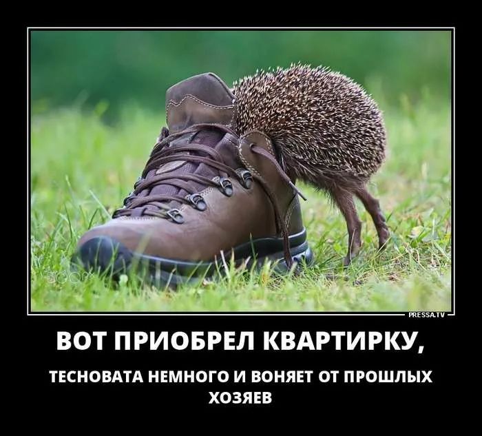 ВОТ ПРИОБРЕЛ КВАРТИРКУ ТЕСНОВАТА НЕМНОГО И ВОНЯЕТ ОТ ПРОШЛЫХ ХОЗЯЕВ