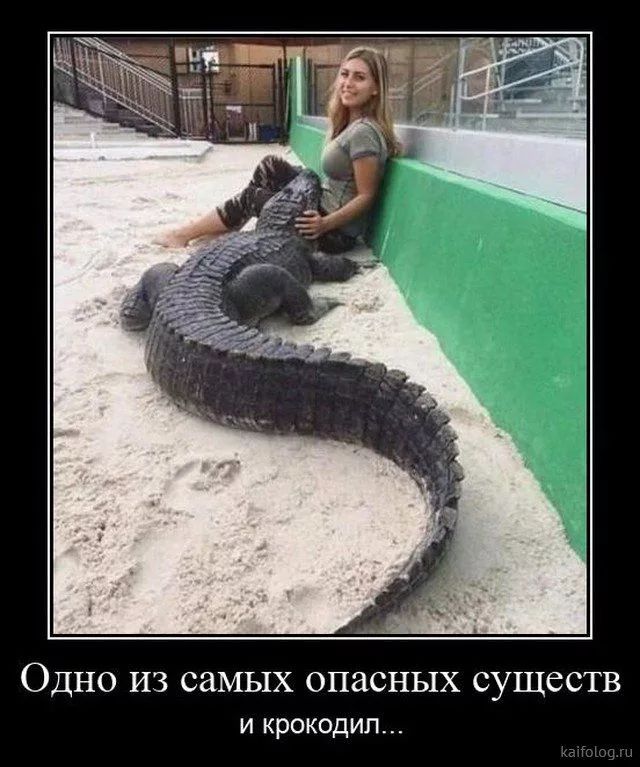 ОДНО ИЗ самых опасных СУЩССТВ И КРОКОДИП