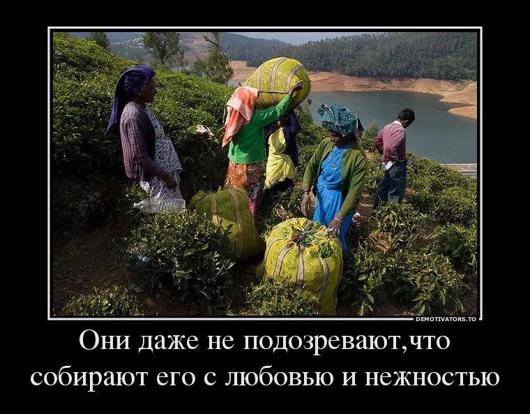 Оъш даже не подозреваюъчто собирают его с любовью И нежностью