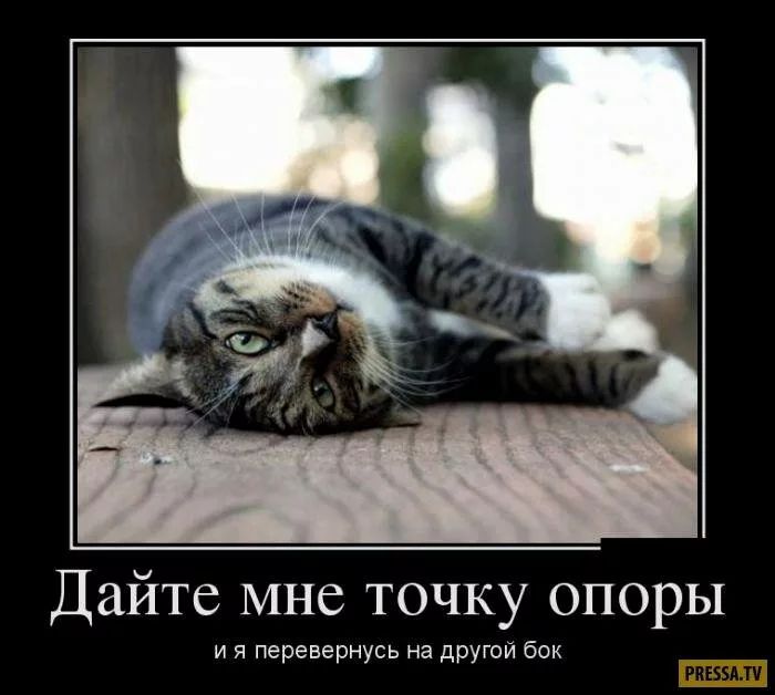 Дайте мне точку опоры и я перевернусь на другой бок