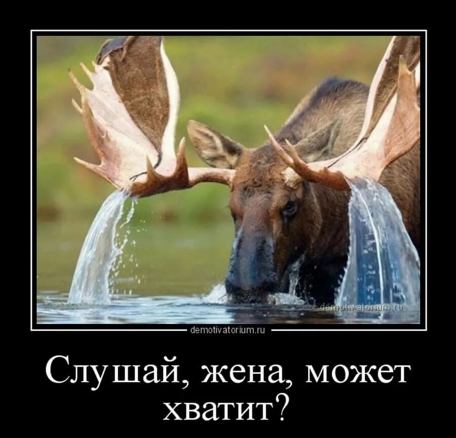 Слушай жена может хватит