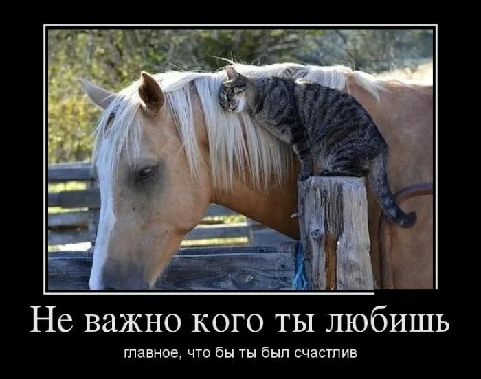 ог __іі Не важно кого ты любишь тавное что бы ты был счастлив