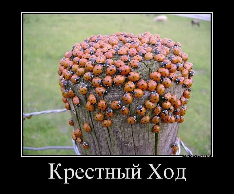 Крестный хо