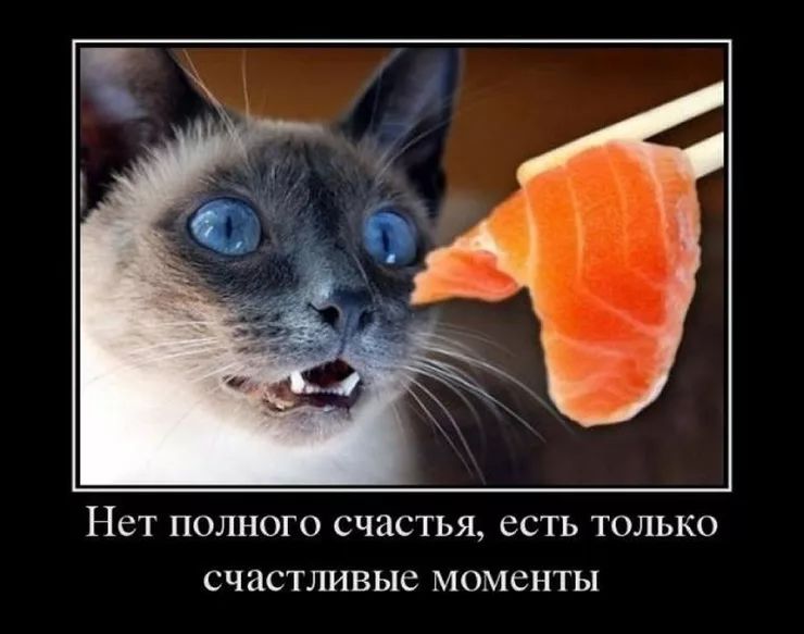 НСТ ПОЛНОГО СЧИСТЬЯ ССТЬ ТОЛЬКО СЧЗСТЛИВЫС МОМСНТЫ