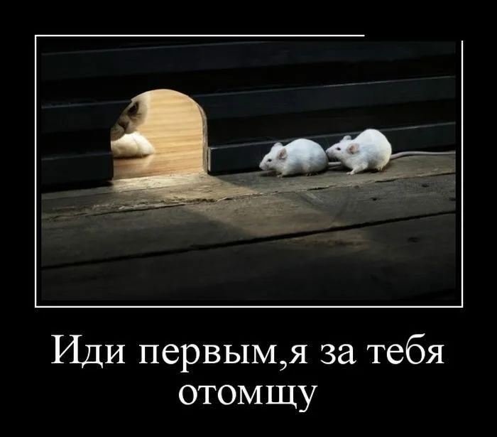 Иди перВЫМя за тебя отомщу