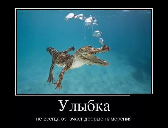 Улыбка НЕ всегда ОЭНЗЧЭЭТ добрые намерения