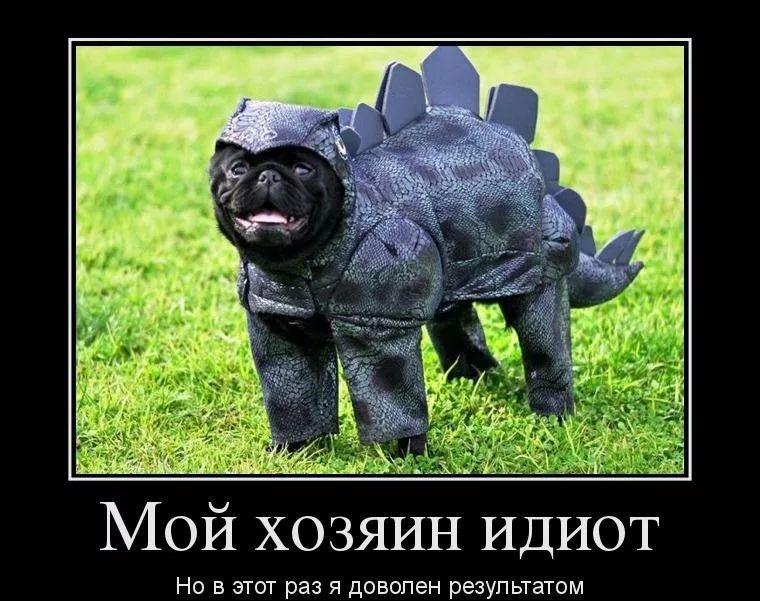 Мой ХОЗЯИН ИДИОТ Но В ЭТОТ раз Я доволен результатом