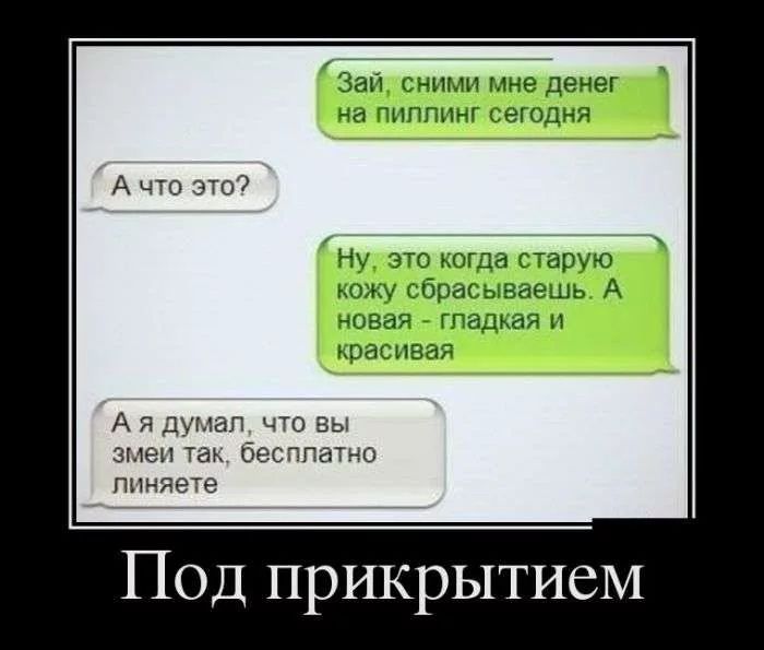 Зап ними мне дечег На МПМК ыоцнд А что это о ъпгда Сархю Ерш 568110 А _тваи ацмл Н квад ива А я думал что вы змеи так бесплатно пиняете Под прикрытием