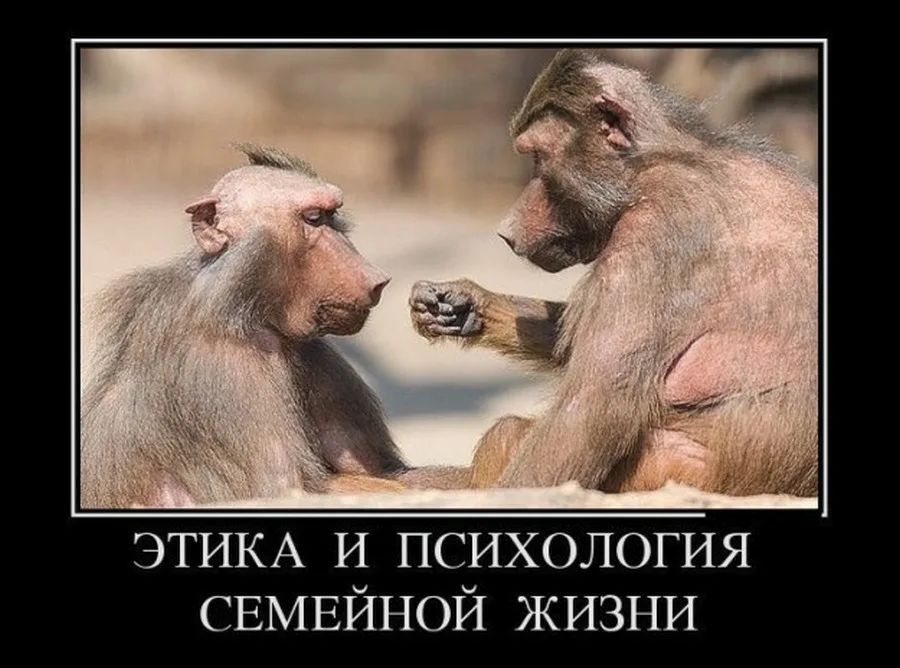ЭТИКА И ПСИХОЛОГИЯ СЕМЕЙНОЙ ЖИЗНИ