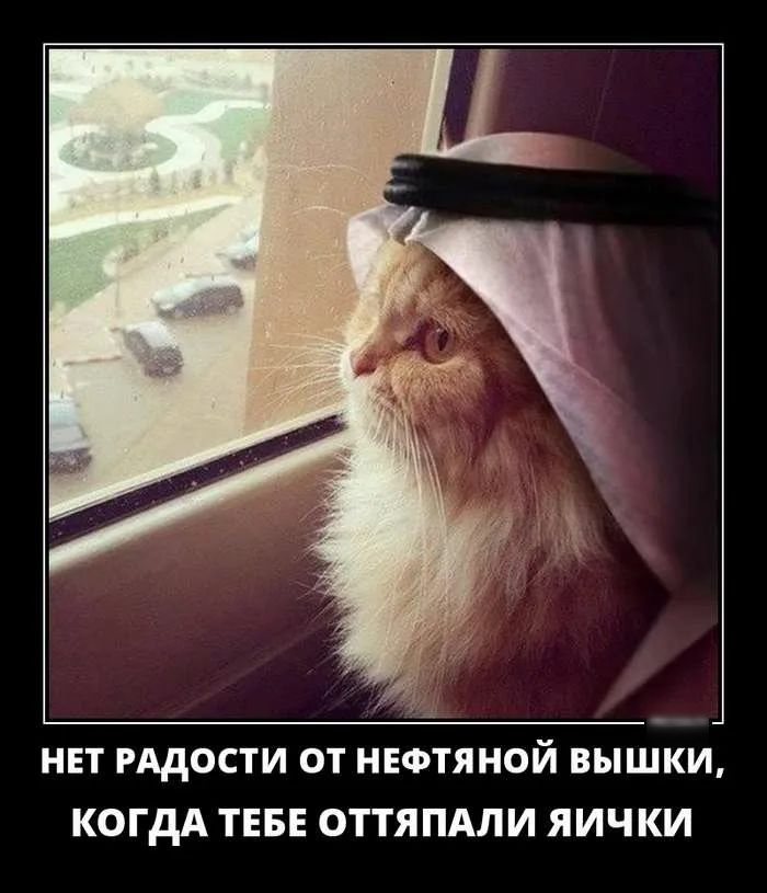 НЕТ РАДОСТИ ОТ НЕФТЯНОЙ ВЫШКИ КОГДА ТЕБЕ ОТТЯПАЛИ ЯИЧКИ