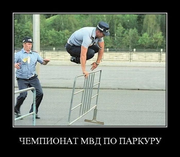 ЧЕМПИОНАТ МВД ПО ПАРКУРУ