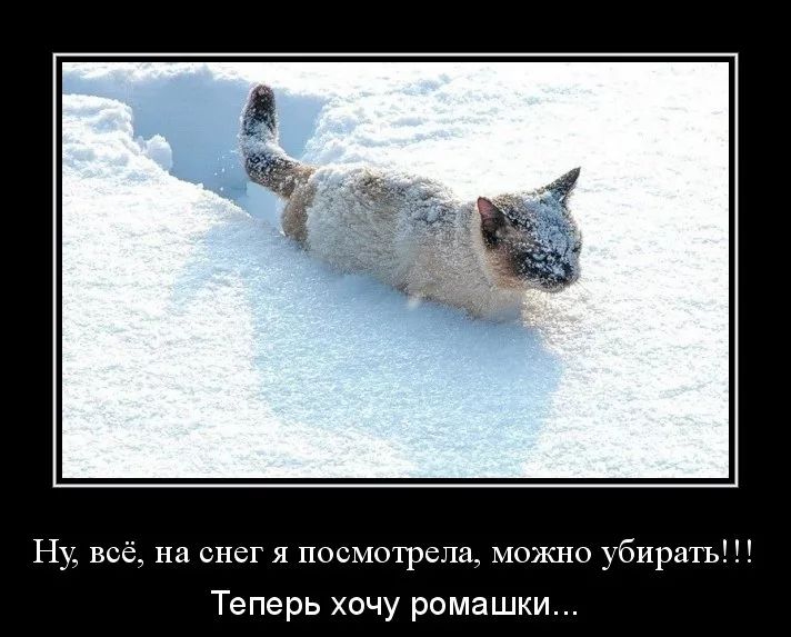 Ну всё на снег я посмотрела можно убирать Теперь хочу ромашки