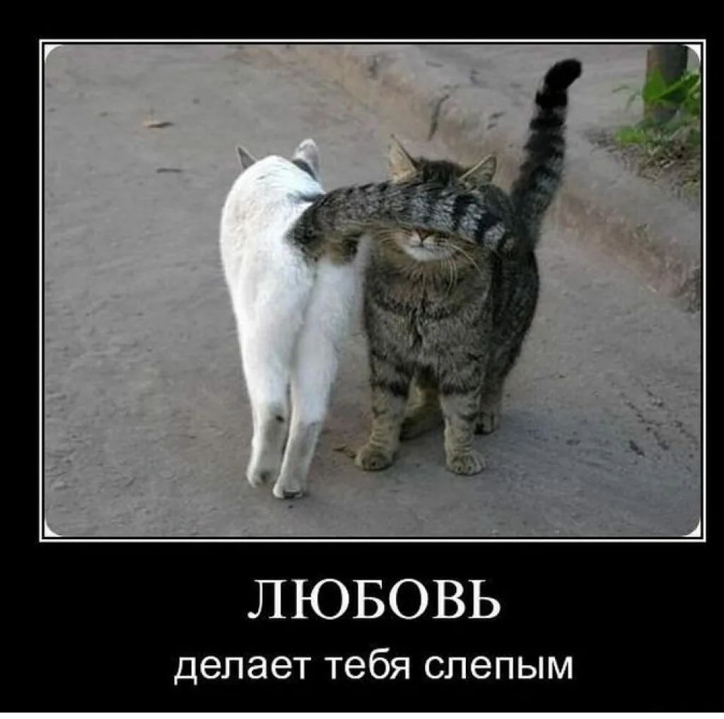 ЛЮБОВЬ делает тебя слепым