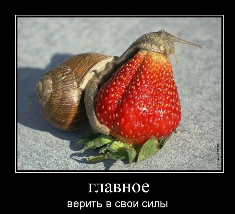 ГЛЗВНОС верить в свои силы