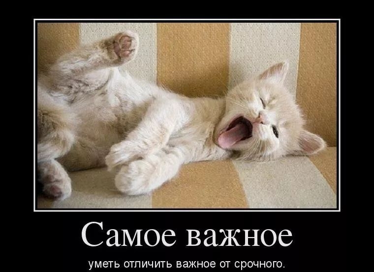 Самое важное уметь ОТПИЧИТЬ БЭЖНОЭ ОТ СРОЧНОГО